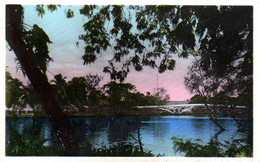 Sud-Viêt-Nam : Saigon : Le Jardin Botanique ( Cpsm P.F. ) - Vietnam