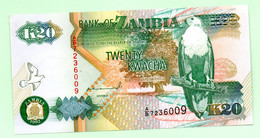 Aigle, Antilope, 20 Kwacha, Classe Ouverte - Zambia