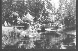 Nederland Holland Pays Bas Oosterhout Park, Brug En Eenden - Oosterhout