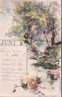 T. Guggenberger, Monatsgrüsse, Juni, Fleurs Et Forêt (21.10.1899) - Guggenberger, T.