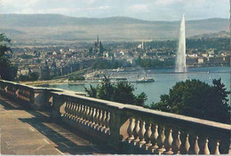 Genève - La Rade Et La Ville Depuis Cologny - Cologny