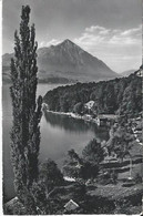 Thunersee  Mit Niesen - Lac De Thoune - Thun