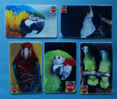 Pappagallo Parrot Bird X5 Uccello Aves Pajaro Coca Cola Fake(?) Macaw Cockatoo Amazon - Perroquets
