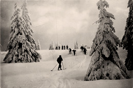 Ski Skieurs * Sports D'hiver * Carte Photo Cpa * éditeur J. Lüscher à Nyon Suisse Schweiz - Sports D'hiver