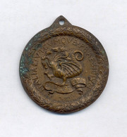 ITALY, Brigata Liguria, Regimento Di Fanteria, Old Medal, 33 Mm. - Andere & Zonder Classificatie