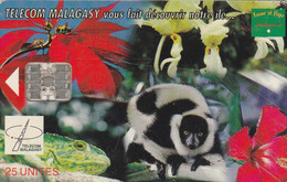 Madagascar,  MDG-19a,  Nature Of Madagascar, Monkey, 2 Scans   Expiry 12/00 - Madagascar