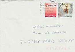 LUXEMBOURG AFFRANCHISSEMENT COMPOSE SUR LETTRE POUR LA FRANCE 2009 - Storia Postale