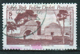 Cyprus Turkey Single Stamp Issued In 1980 As Part Of The Ancient Monuments Set. - Oblitérés