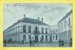 * Hamme (Oost Vlaanderen) * (SBP, Nr 6) Maison Communale, Gemeentehuis, Animée, Chien, Dog, Café De Kroon, TOP - Hamme