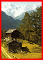 TARJETA POSTAL DE SUIZA VAL D'HÉRENS FOTO PANORAMICA - Andere & Zonder Classificatie