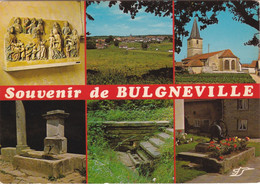 BULGNEVILLE. Multivues - Bulgneville
