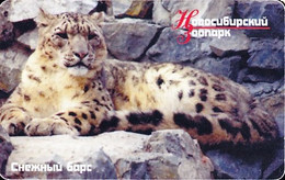 NOVOSIBIRSK AOA/HCO : 056059B 300bit 1 Lynx (300 Round )CH29 LOGO CENTERTELEKOM USED - Russia