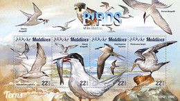 Maldives  2015 Terns，birds - Maldives (1965-...)