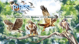 Maldives  2015 Fauna  Birds Of Prey - Maldives (1965-...)