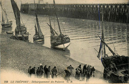 Le Tréport * Le Débarquement Du Poisson * Bateau Pêche - Le Treport