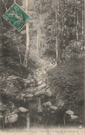 SAINT ETIENE SOUS BOIS A LA CASCADE DE MIRAUMONT - Saint Etienne De Remiremont