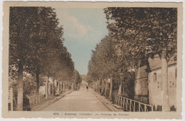 D85 - AIZENAY - AVENUE DE VERDUN - Quelques Personnes - Cycliste - Véhicule Ancien - Carte Colorisée Et Dentelée - Aizenay