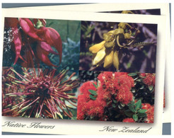 (AA 20)  New Zealand - Native Flowers - Nuova Zelanda