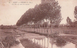 NORT-SUR-EDRE. - Un Joli Coin Dans Les Marais - Nort Sur Erdre