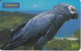 TARJETA DE BRASIL DE UN  LORO  (PARROT) - Loros