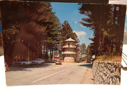 Cartolina La Sila Villaggio Mancuso Prov Catanzaro Bellezze Di Calabria Bar  Auto - Catanzaro