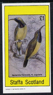 Staffa 1982 Birds #12 (Nectarinia Pectoralis) Imperf Souvenir Sheet (£1 Value) U/M - Zonder Classificatie