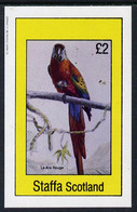 Staffa 1982 Birds #15 (Macaw) Imperf Deluxe Sheet (£2 Value) U/M - Sin Clasificación