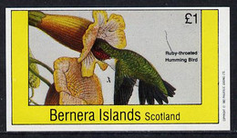Bernera 1982 Humming Bird Imperf Souvenir Sheet (£1 Value) U/M - Ohne Zuordnung