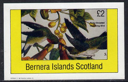 Bernera 1982 Humming Bird Imperf Deluxe Sheet (£2 Value) U/M - Unclassified