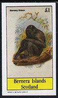 Bernera 1982 Primates (Siamang Gibbon) Imperf Souvenir Sheet (£1 Value) U/M - Sin Clasificación