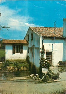 Delcampe - CPSM Bidart-Le Moulin De Bassilour   L129 - Bidart
