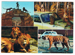 D-11674   TÜDDERN : Löwen,Tiger Und Grosswild-auto-safari : Safariland ( Zoo, Dierentuin ) - Heinsberg