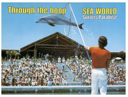 (AA 22) Australia - QLD - Sea World Surfers Paradise Dolphin Show (W74) - Dauphins