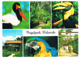 D-11675  WALSRODE : Vogelpark ( Zoo, Dierentuin ) - Walsrode