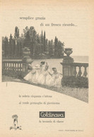 # LAVANDA COLDINAVA NIGGI IMPERIA 1950s Advert Pubblicità Publicitè Reklame Perfume Parfum Profumo Surf - Non Classés
