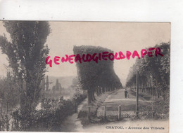 78 - CHATOU - AVENUE DES TILLEULS - TILLEUL  1905 - Chatou