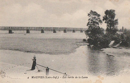 MAUVES. - Les Bords De La Loire. CPA Pas Courante - Mauves-sur-Loire