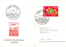 Société Philatélique De Sion - Cachet Ernen 1976 - Andere & Zonder Classificatie