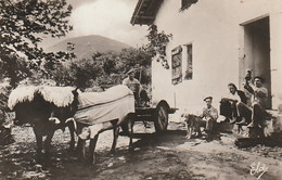 *** 64 /65  *** Pays Basque Cour De Ferme - TTB Neuve - Bauernhöfe