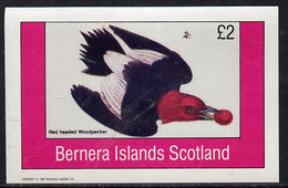 Bernera 1982 Woodpecker Imperf Deluxe Sheet (£2 Value) Unmounted Mint - Scotland