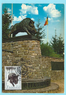 2315 - BELGIE - MAXIMUMKAART - ZEGEL NR 1733 - VIELSALM - MARTELANGE - MONUMENT AUX CHASSEURS ARDENNAIS - 1974 - Other & Unclassified