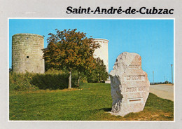 SAINT ANDRE DE CUBZAC - Pierre Du 45e Parallèle - L'ancien Moulin Et Château D'eau - Other & Unclassified