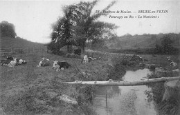 Brueil-en-Vexin      78         Pâturage Au Ris   " Le Montcient"           (voir Scan) - Sonstige & Ohne Zuordnung