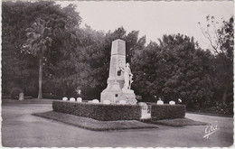 ALGERIE ORLEANSVILLE Jardin Public  ( Cachet 22 E Régiment D' Infanterie ) - Chlef (Orléansville)