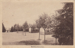 Elsenborn, Wellblechbaracken (pk75710) - Elsenborn (camp)