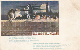 Kat, Chat, Cats, Chats Katten,  Publicity, Cacao DeBeukelaer (pk75712) - Cats
