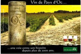 Thème - Vin - Vin De Pays D'Oc - Vignes