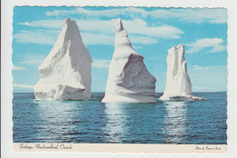 Newfoundland  Labrador Canada - Icebergs Iceberg - Unused - Size 6 X 4 In - 2 Scans - Andere & Zonder Classificatie