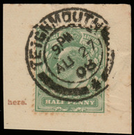 GB - 1908 KEVII SG 218 Used "TEIGNMOUTH" (Devon) Double Circle Date Stamp /piece - Oblitérés