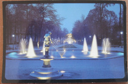 BELGIUM BELGIQUE BRUXELLES BRUSSEL KINGS HOUSE MAISON DU ROI POSTCARD ANSICHTSKARTE PICTURE CARTOLINA PHOTO CARD - Bruselas La Noche